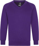 School Uniform Unisex Girls Boys V-Neck Sweatshirt