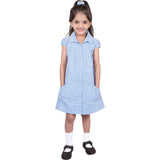 A2Z 4 Kids Girls School Uniform Pleated Gingham Checked Summer Dress with Bobble Age 3 4 5 6 7 8 9 10 11 12 13 14 Years