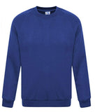 Unisex Boys Girls School Uniform Plain Jumper  Adults Sweatshirt Round Crew Neck Full Sleeve Pullover